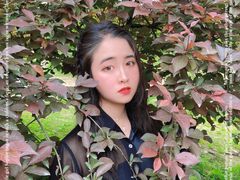-秀丽东方