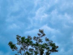 -南开大学滨海学院