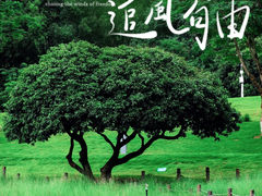 -红花山公园