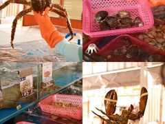 -四川小胡子海鲜(丁村万人海鲜广场店)