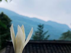 -龙窝子