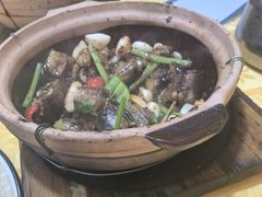 生啫金边花鳝-天宝食坊·啫啫煲大排档(西华路店)