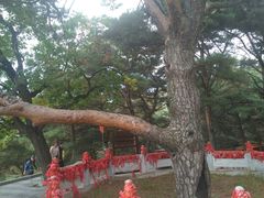 -延吉东来寺