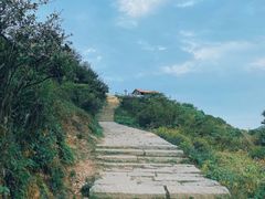 -大姆山草场