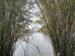 -金银湖国家城市湿地公园