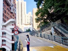 -香港大学