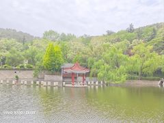 -北岭山森林公园