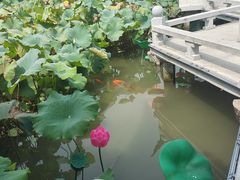 -丝绸小镇荻港古村