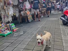 -乌布德传统市场