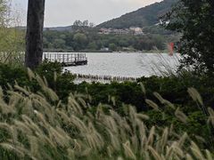 -长广溪湿地公园