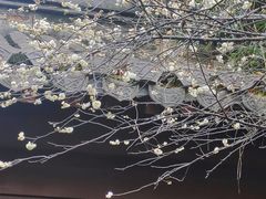 -钱王祠