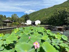-荷塘味道(水长城店)