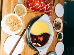 -青瓷火锅料理(西单大悦城店)