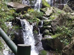 -藏龙百瀑风景区