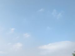 -食膳公园包子铺(烈士公园店)