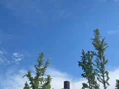 -诗经里