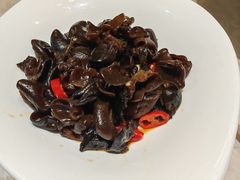 凉拌小木耳-阿英煲(凉城路店)
