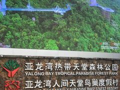 -亚龙湾热带天堂森林公园