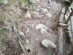 -王顺山国家森林公园