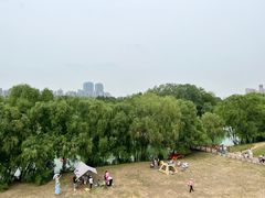 -长白岛森林公园