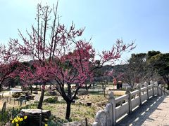 -苏州上方山国家森林公园