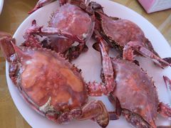 -张会海鲜饭店(东戴河店)