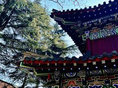-湛山寺