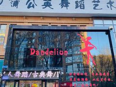 -蒲公英舞蹈艺术中心(促进路校区)