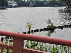 -荔湾湖公园