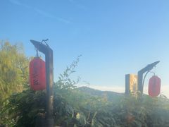 -慢丽江·云南野生菌土鸡锅(西山店)
