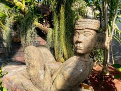 -上海辰山植物园