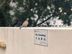 -彩虹村