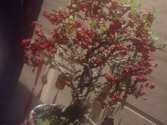 -炳胜公馆(珠江新城店)