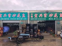-龙大花卉苗木市场
