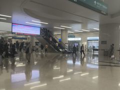 -中国人民解放军总医院