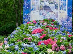 -武汉园博园(武汉自然博物馆)