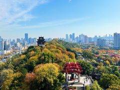 -黄鹤楼公园(黄鹤楼)