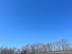 -老龙头景区