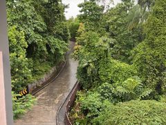 -圣淘沙天际线斜坡滑车