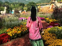 -北京十三陵国家森林公园蟒山景区