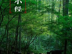 -云栖竹径