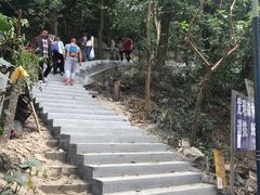 -火炉山森林公园