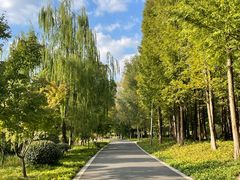 -昆山城市生态森林公园