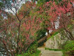 -乌山风景区