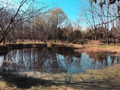 -蜀冈西峰生态公园