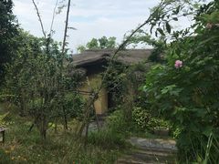 -杭州开元森泊度假乐园