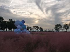 -汉长安城未央宫国家考古遗址公园