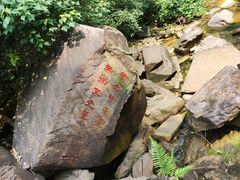 -鼎湖山风景区