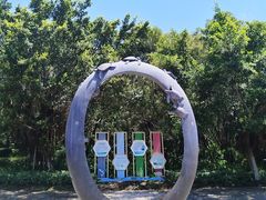 -广东惠东海龟国家级自然保护区