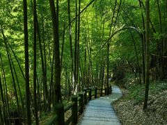 -藏龙百瀑风景区